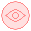 ojo icon