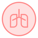 pulmones icon