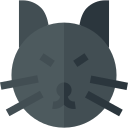 gato negro icon