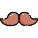 bigote icon