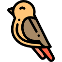 pájaro icon