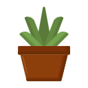 aloe vera icon