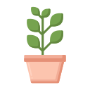 ficus icon