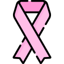 cinta rosa icon