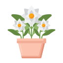 gardenia icon