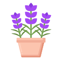 lavanda icon