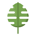 hoja de monstera icon