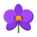 orquídea icon