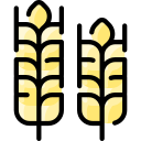 trigo icon