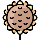 girasol icon