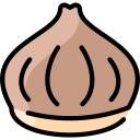 castaña icon