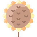 girasol icon