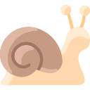 caracol icon