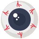 ojo icon