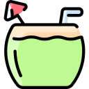 bebida de coco icon