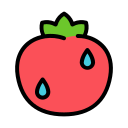 tomate icon