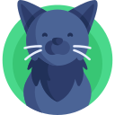 gato negro icon