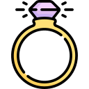 anillo icon