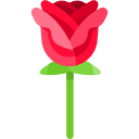 rosa icon