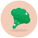 brócoli icon