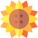 girasol icon