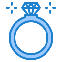 anillo icon