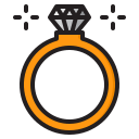 anillo icon