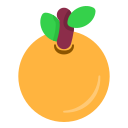 naranja icon