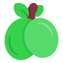 cereza icon