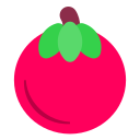 tomate icon