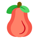 manzana rosa icon