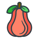 manzana rosa icon