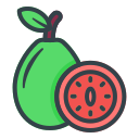 guayaba icon