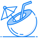 agua de coco icon