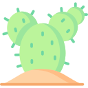 cactus icon