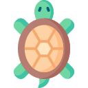 tortuga icon