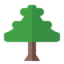 Árbol icon