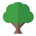 Árbol icon