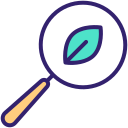 Organic search icon