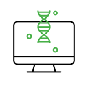 estructura del adn icon