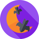 luna icon