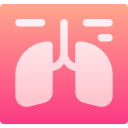 pulmones icon