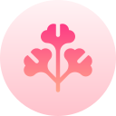 gingko icon