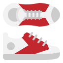 zapatilla