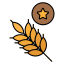 보리 