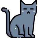 gato negro icon