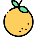 mandarina icon