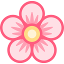 sakura icon