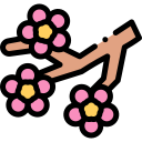 sakura icon