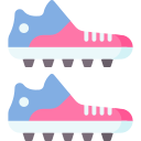 zapatos icon